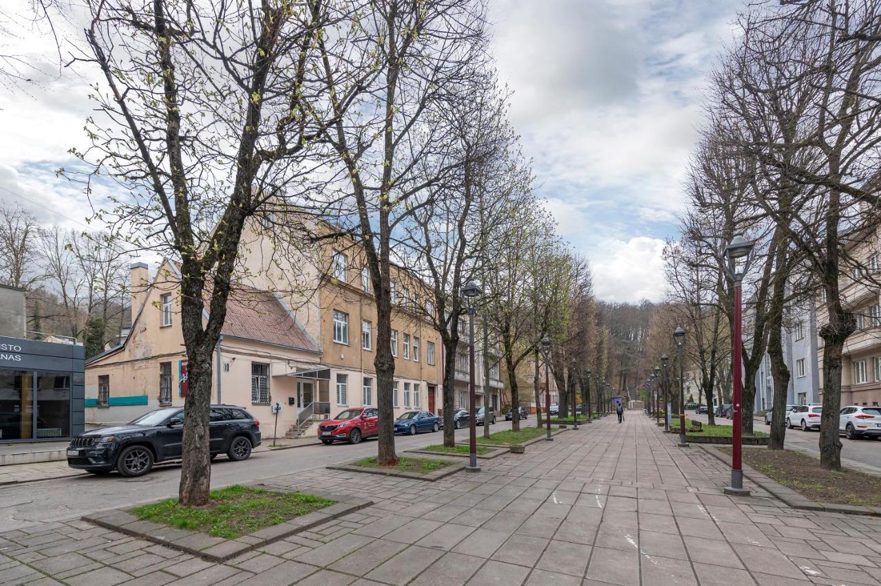 Freedom Avenue Apartment By Polo Apartments Kaunas Exterior foto